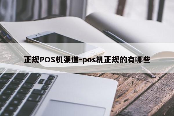 岳阳楼正规POS机渠道-pos机正规的有哪些